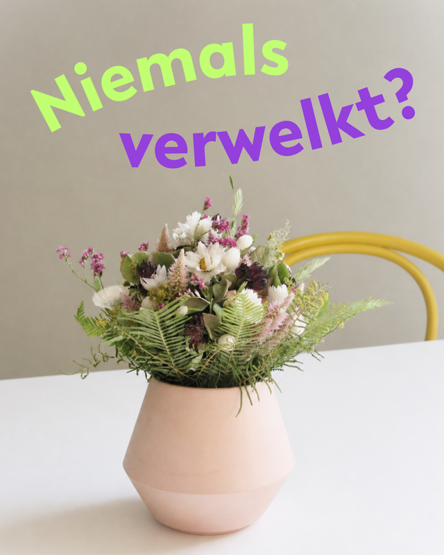 insta-beitraege-2.png